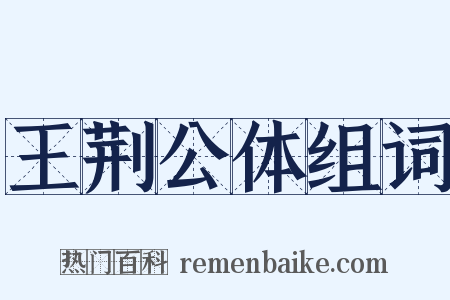 王荆公体组词是什么意思的图片